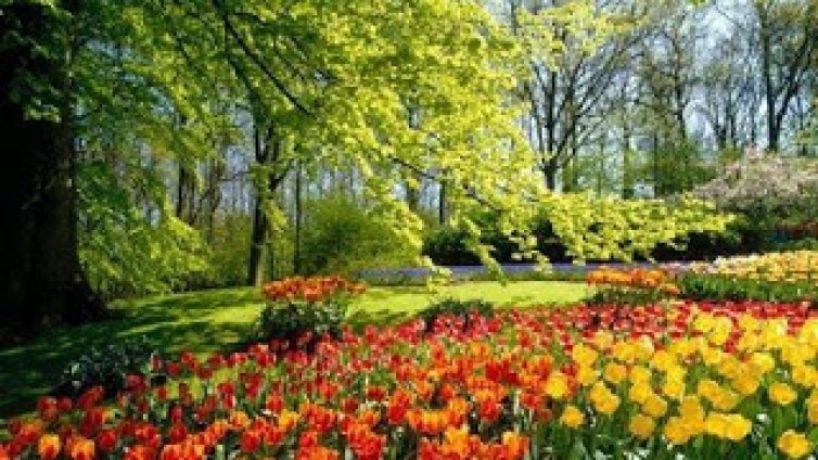 В курорта Св. св. Константин и Елена стартира майският фестивал на цветята