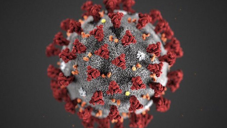 Обрат: Случаите на Омикрон не са потвърдени