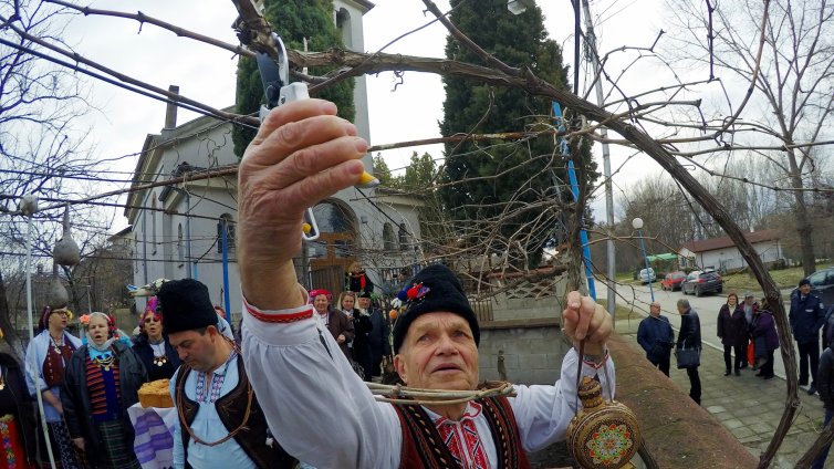 С наричане за берекет зарязаха лозите в с. Тополи