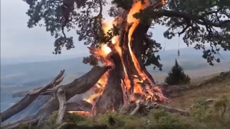 Бури удариха половин България