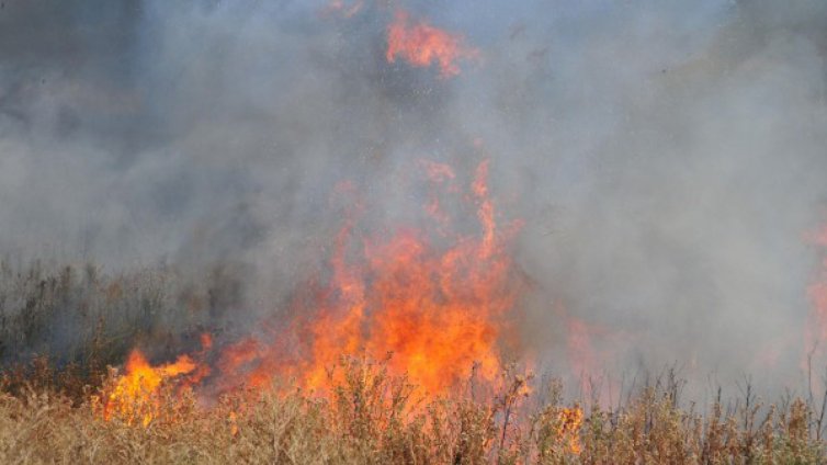 Пожар обхвана около 250 дка над Гоце Делчев