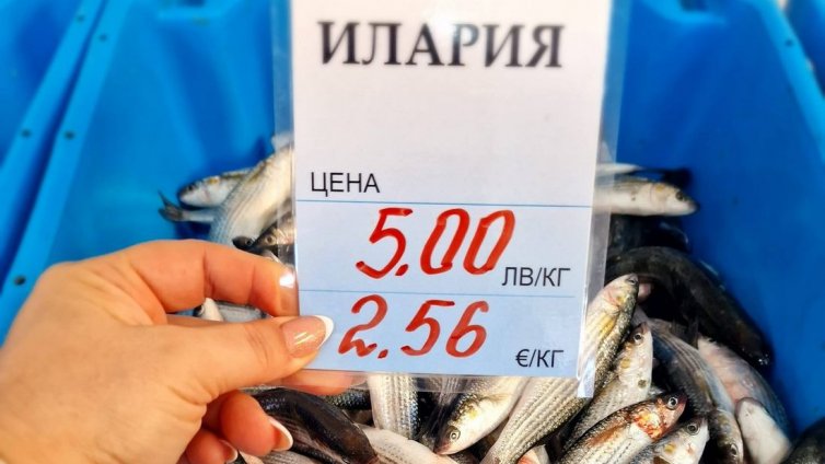 Вкусна илария на пазара в Каварна само за 5 лева 