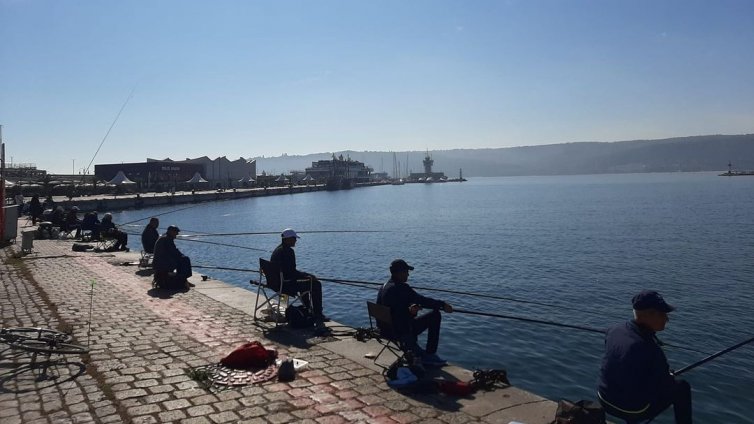 Влезе в сила забраната за улов на калкан и попчета в Черно море
