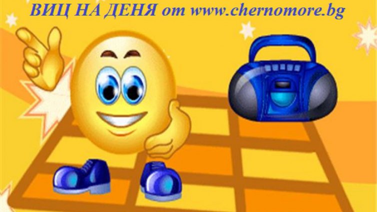 Мечо и Зайо