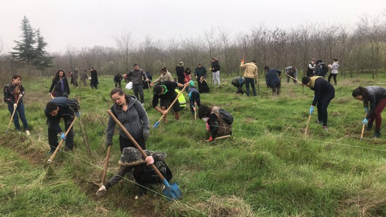 Над 200 доброволци се включиха в залесяването на нова гора край с. Слънчево