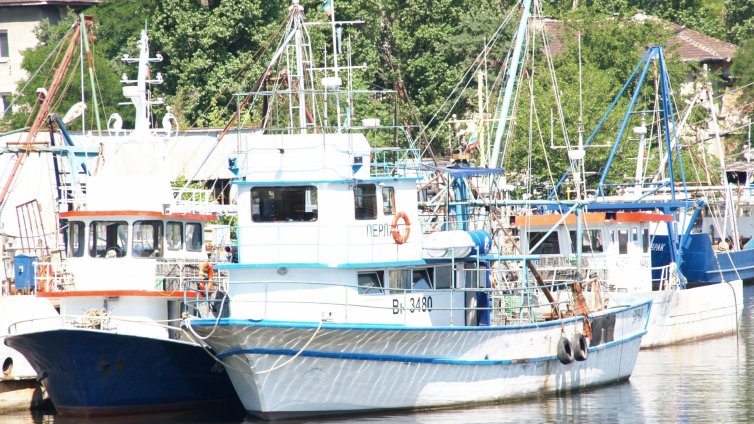 По ОП ”Рибарство” от август тръгва финансовата подкрепа за нови аквакултури