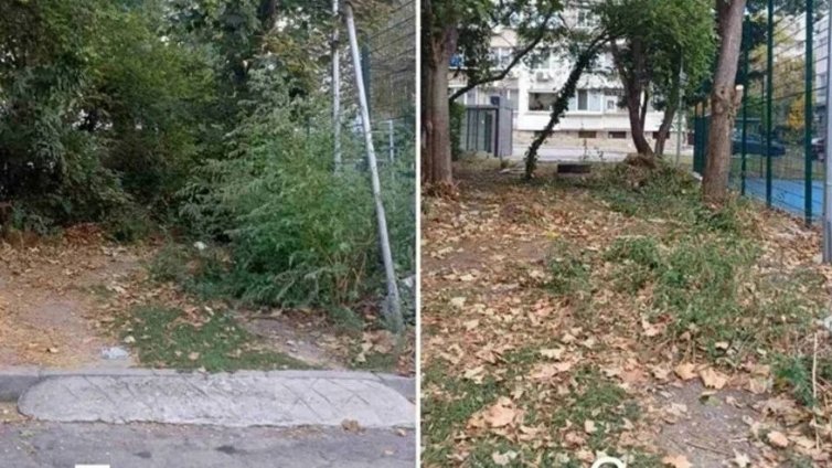 Почистват от сухи клони и издънкова растителност детските площадки в централната част на Варна