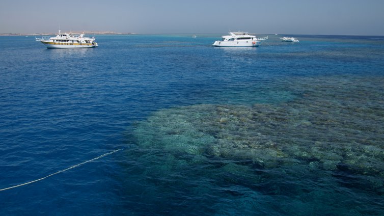 Два нови острова се появиха в Червено море