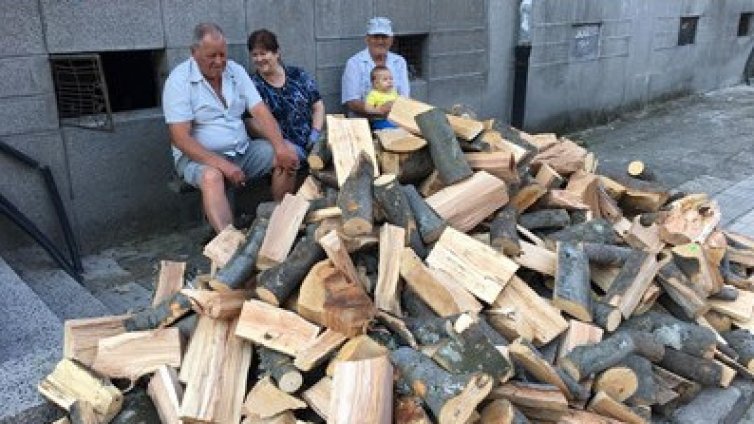 Над 40 000 кубика дърва за огрев са доставени на 7 000 домакинства на територията на СИДП