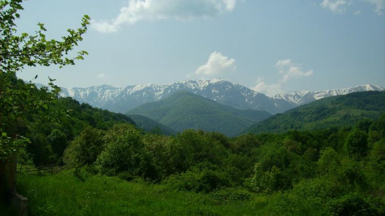 Изчезналият Тодор се прибра, но кой ще плати издирването му?  