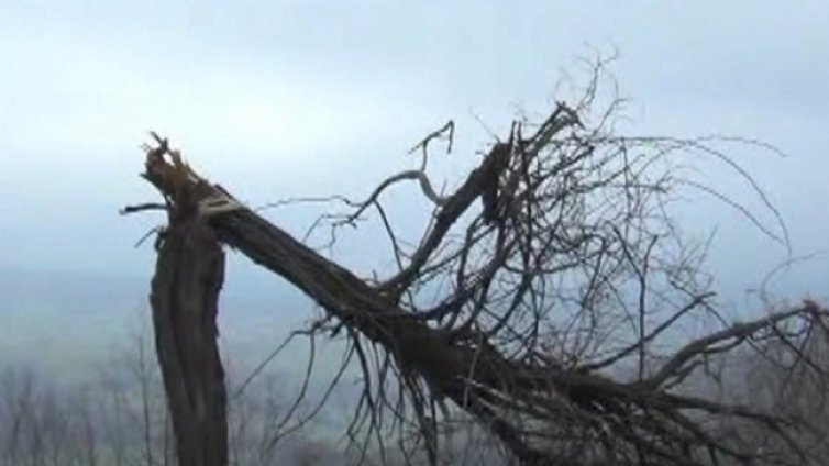 Буря уби майка пред децата й
