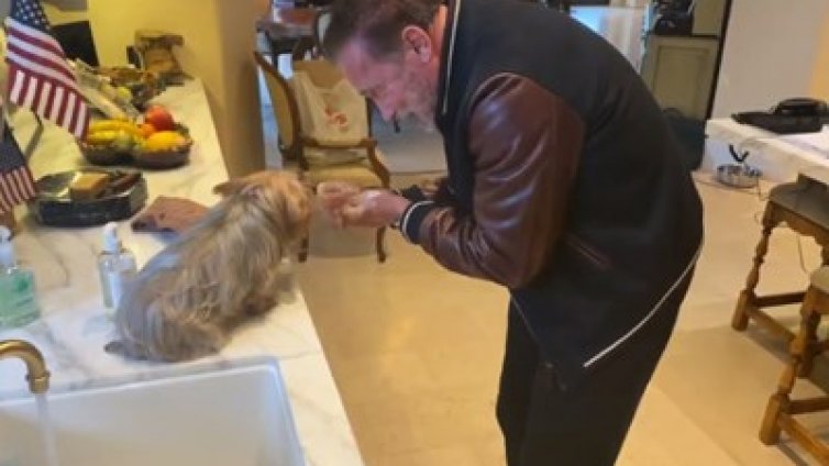 Арни  показва на кучето си как се мият правилно ръце (Видео)