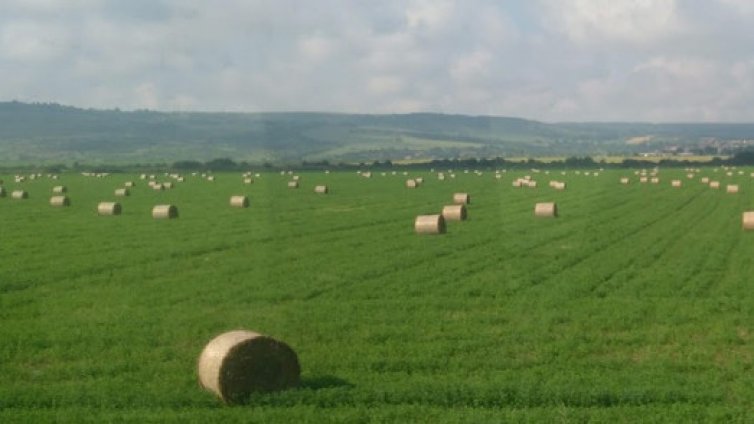 Европрокуратурата разследва далавери със селскостопански субсидии у нас