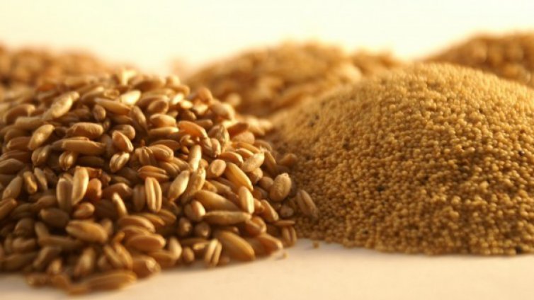 120 хил. тона пшеница е изнесена през варненското пристанище за седмица