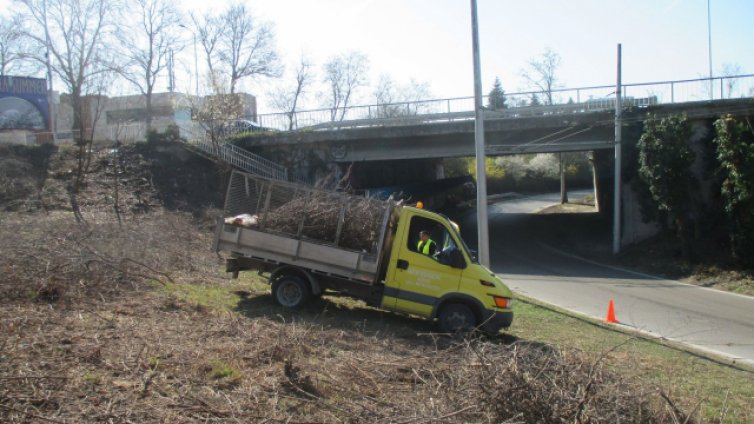 72 искания за резитба са постъпили в р-н "Приморски" от началото на 2020