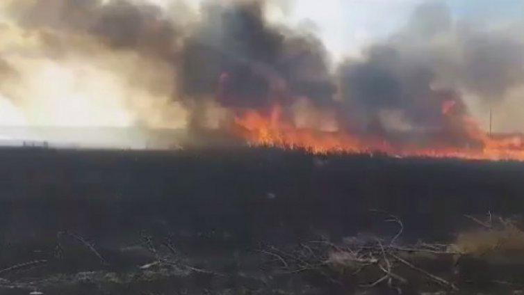 Прокуратурата разследва пожара край Дуранкулашкото езеро