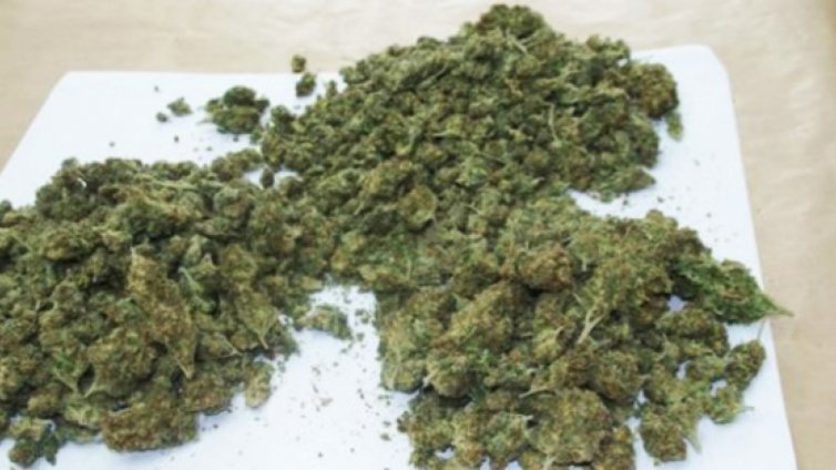 Двама с марихуана спипаха при проверка в Провадия