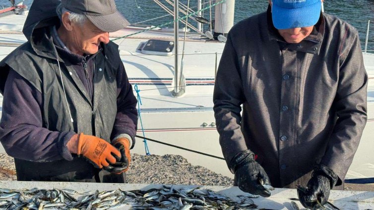 Трудна година изпращат варненските рибари 