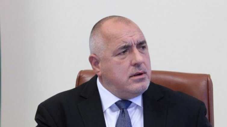 Строежът на Алепу - прекрасно място за къщичка за птици