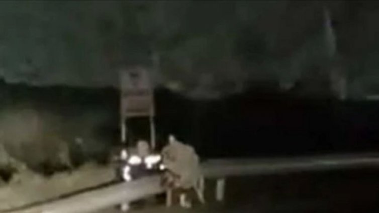 Грозно: Служители на КАТ скриха камера за скорост... зад венец на починало на пътя семейство