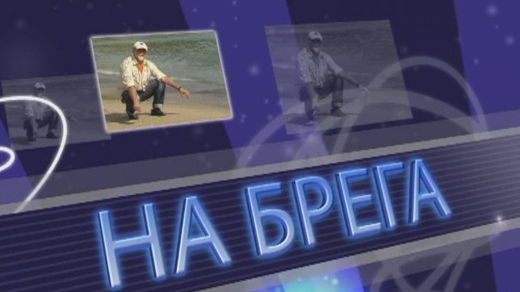 На брега 1.11.2014- част 12