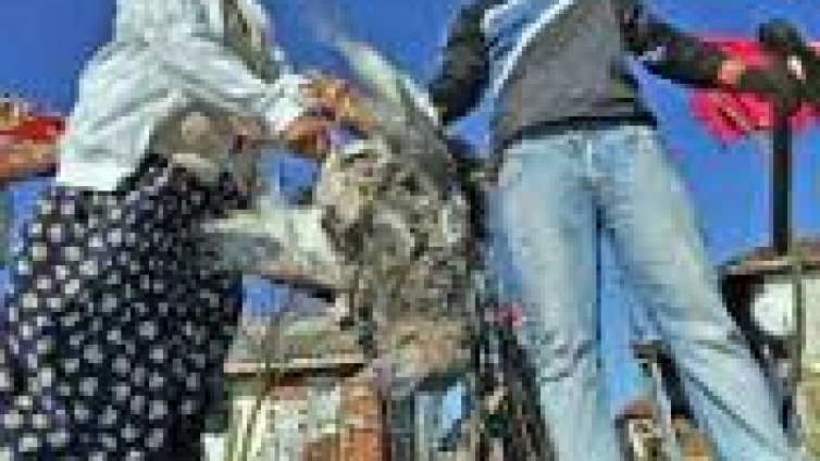 Ромите празнуват днес Банго Василий