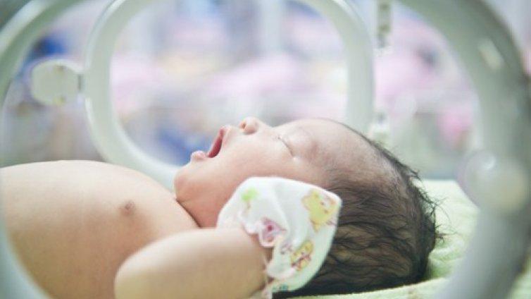 Днес отбелязваме Световния ден на недоносените деца