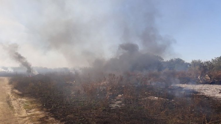 Горят десетски декари земеделска земя край Пловдив