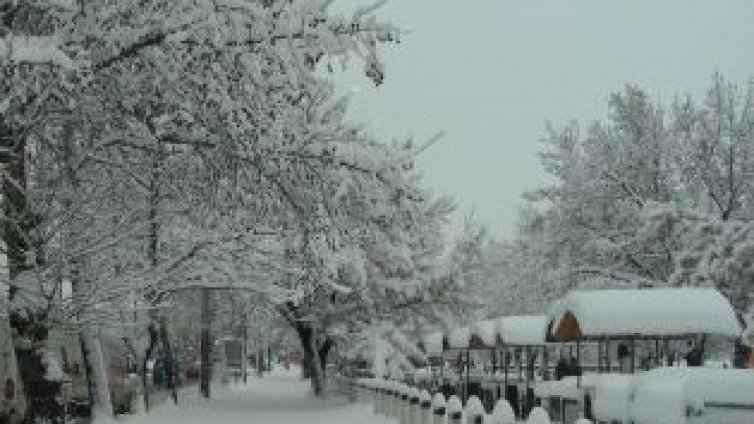 10 см снежна покривка във Видин
