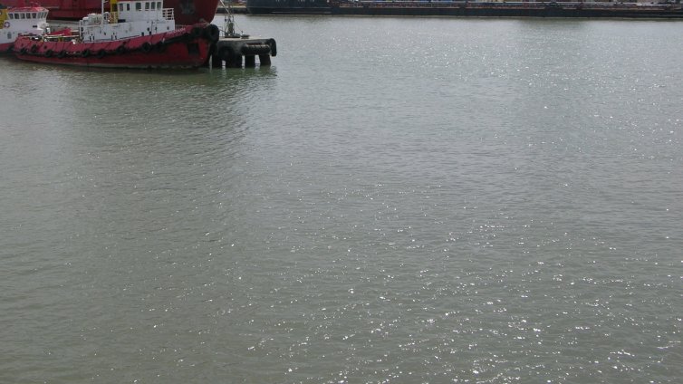 Почистиха от отпадъци водите в района на Морска гара