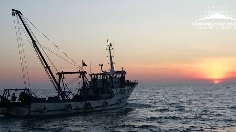 Вместо депониране: Черупките на рапаните стават ценна суровина