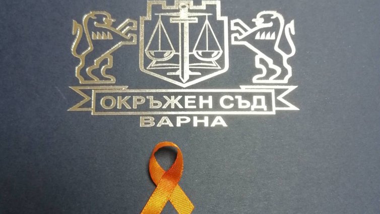 Варненски магистрати подемат кампания срещу насилието над жените