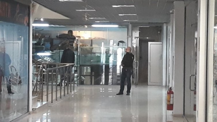 Змия избяга от зоомагазин в МОЛ-а (СНИМКИ)