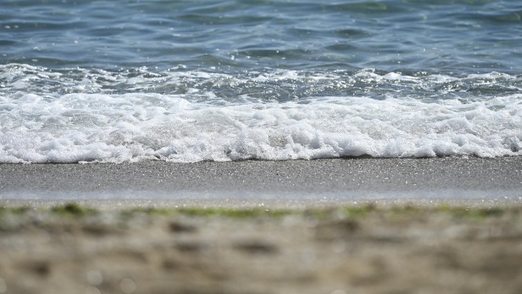 РЗИ-Варна с последни данни за качеството на водата на морската вода