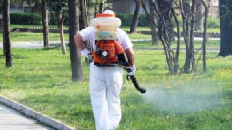 Продължават обработките срещу вредители във Варна