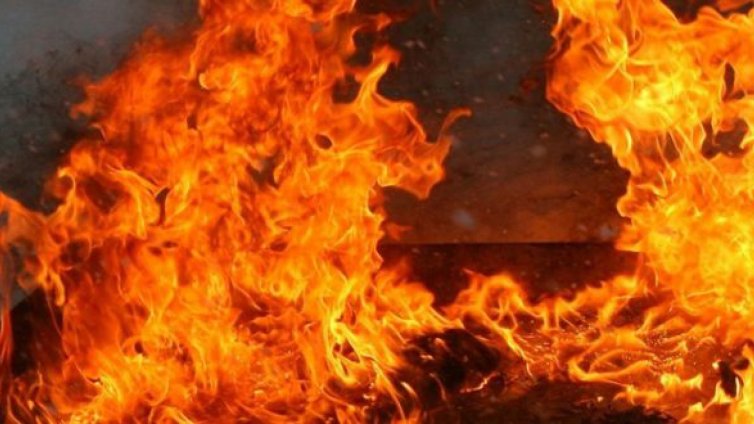 Пожар избухна в Лондонската зоологическа градина