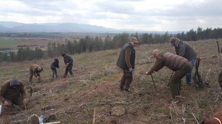 Залесяват близо 500 декара край Генерал Тошево