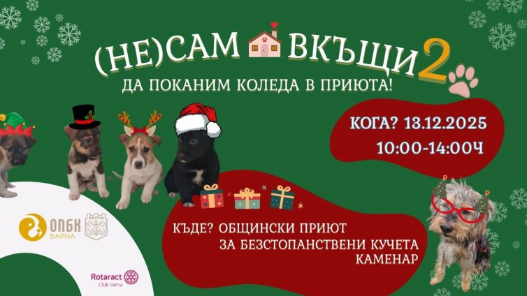 Второ издание на инициативата "(НЕ) Сам вкъщи" подготвят в Общинския приют за кучета