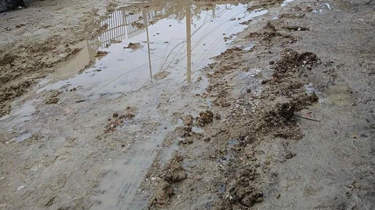 Варненци се възмущават: До нас се стига само с танк! 