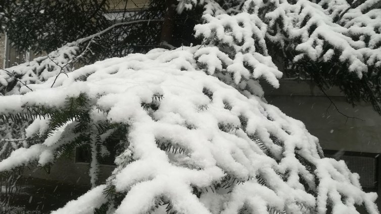 ПСС: Лавинната обстановка се усложнява