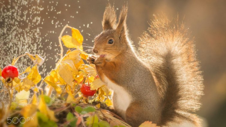 ТВ "Черно море" - Прогноза за 16.11.2016 г. 