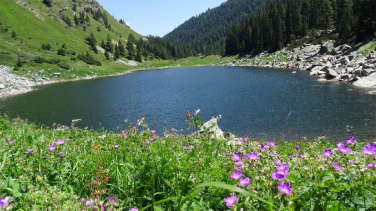 Пожарът над Сухото езеро в Рила е ограничен