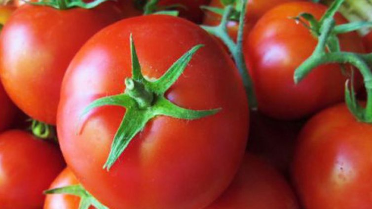 Вносните домати и краставици поевтиняват