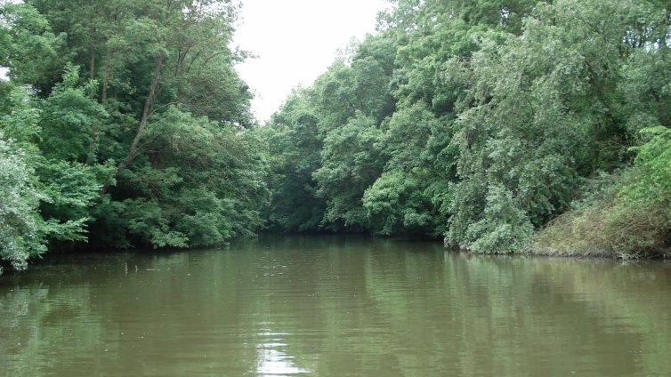 Три са опасните реки на територията на Варненска област