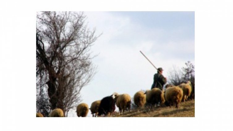 Пастир, осъден за убийството на свой съселянин обжалва присъда