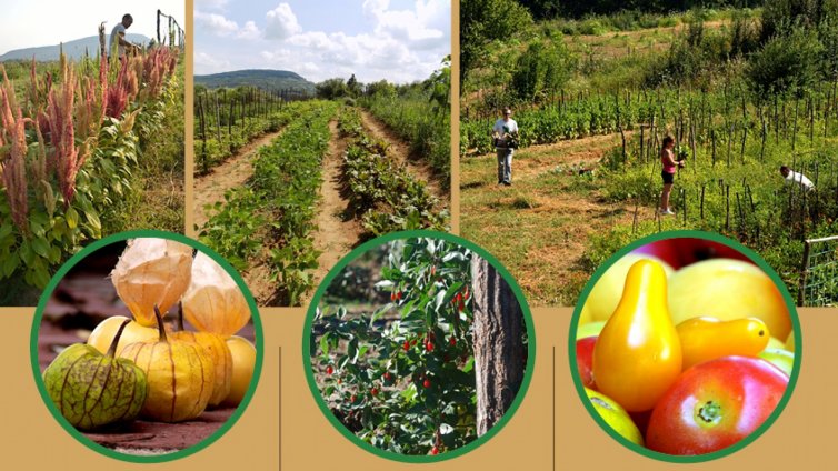 38 производителя основават Задруга за чиста храна