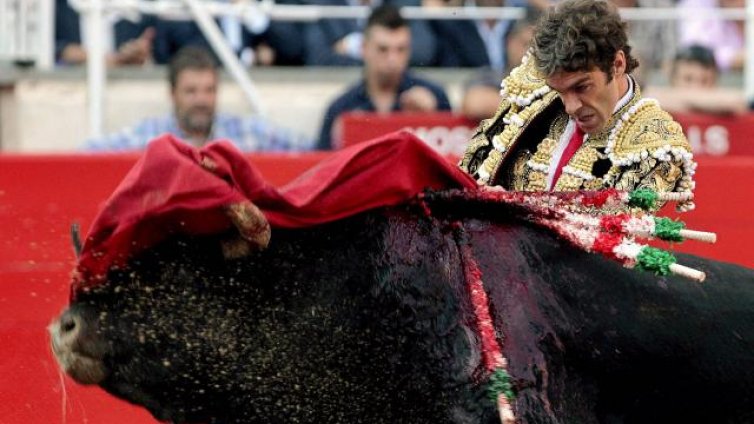 Девет дни купон и надбягване с бикове