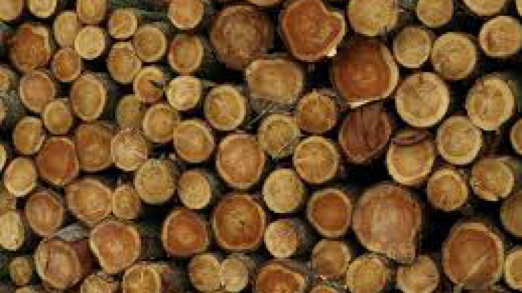 Дървесината за огрев поскъпна