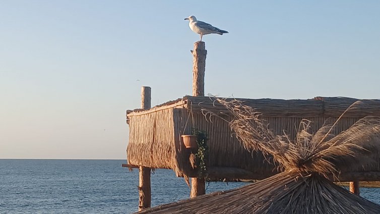 Слънчево време в цялата страна днес
