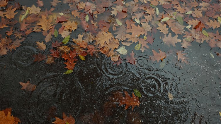 Утре дъждът се завръща